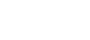 TechieWings